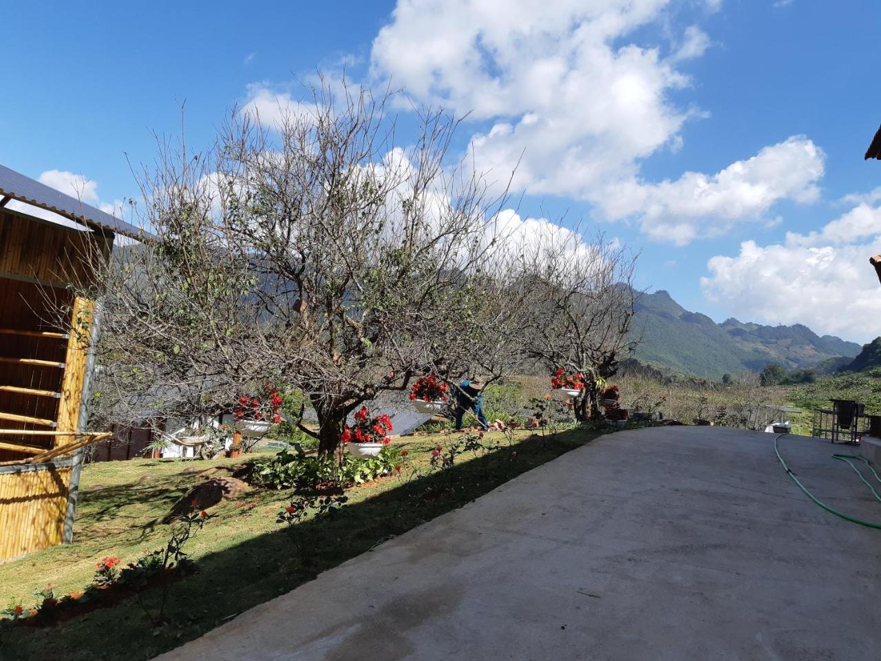 Eco House Moc Chau Bed and Breakfast Εξωτερικό φωτογραφία