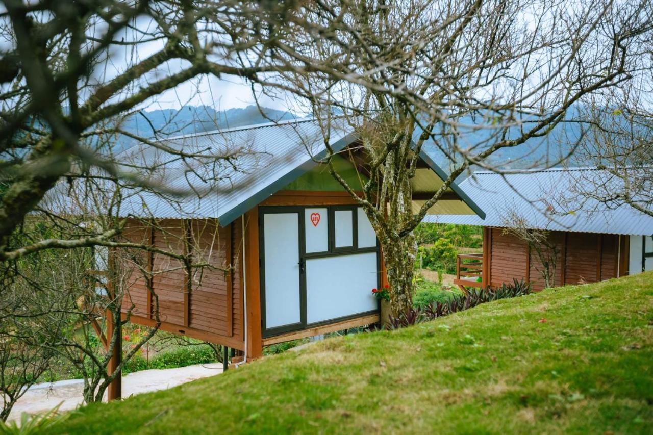 Eco House Moc Chau Bed and Breakfast Εξωτερικό φωτογραφία