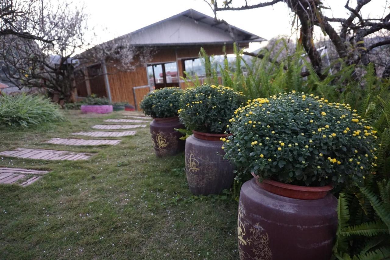 Eco House Moc Chau Bed and Breakfast Εξωτερικό φωτογραφία
